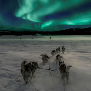 arctic-grand-slam-voor-singles-facebook